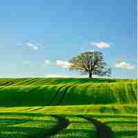 语​音‍识‌别​模‌块‍介​绍﻿怎‌么﻿写‍